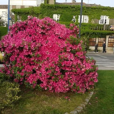 Pensionat Casa Mariano
