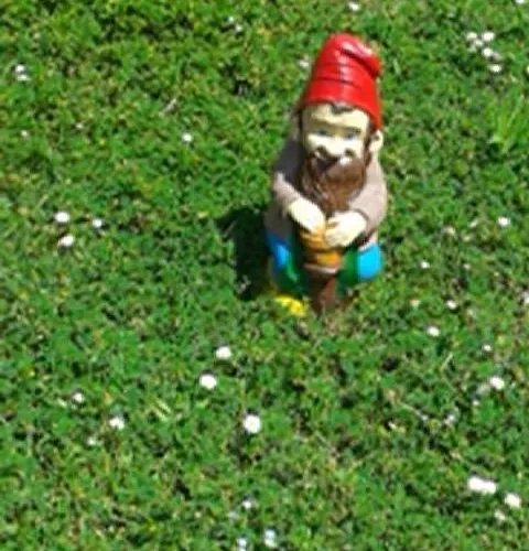 Casa Mariano Otel A Revolta